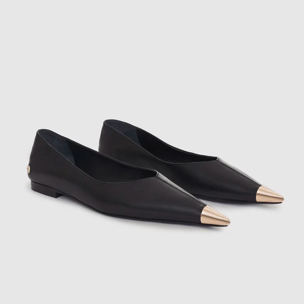 NWOT Anine Bing Nina Flats with Metal Toe Cap